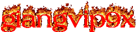 1 1